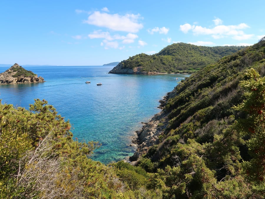 Matinée détente en catamaran au départ de Hyères (83)