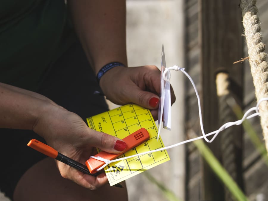 Team Building Course d'Orientation Climat à Fontainebleau (77)