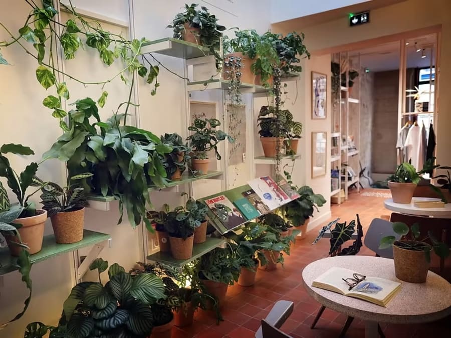 Hôtel French Theory à Paris 5ème