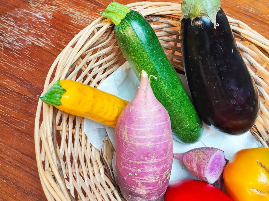 Oficina de desenho criativo para crianças com o tema dos legumes, em Saint-Avertin (37)