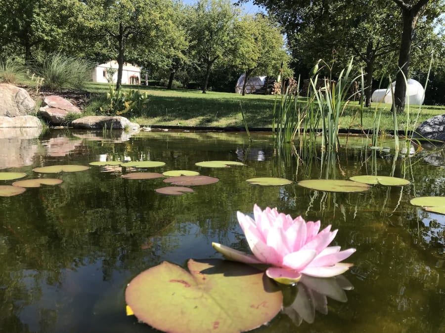 L'Art du Cocktail au Domaine Le Coq Enchanté près de Caen (14)
