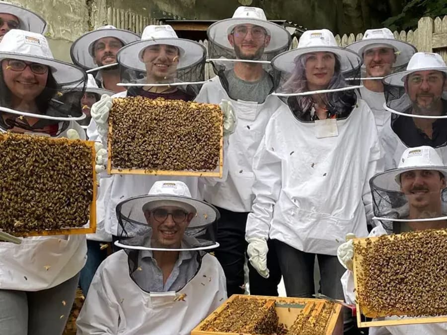 Team building Initiation à l’apiculture durable à Paris 19ème