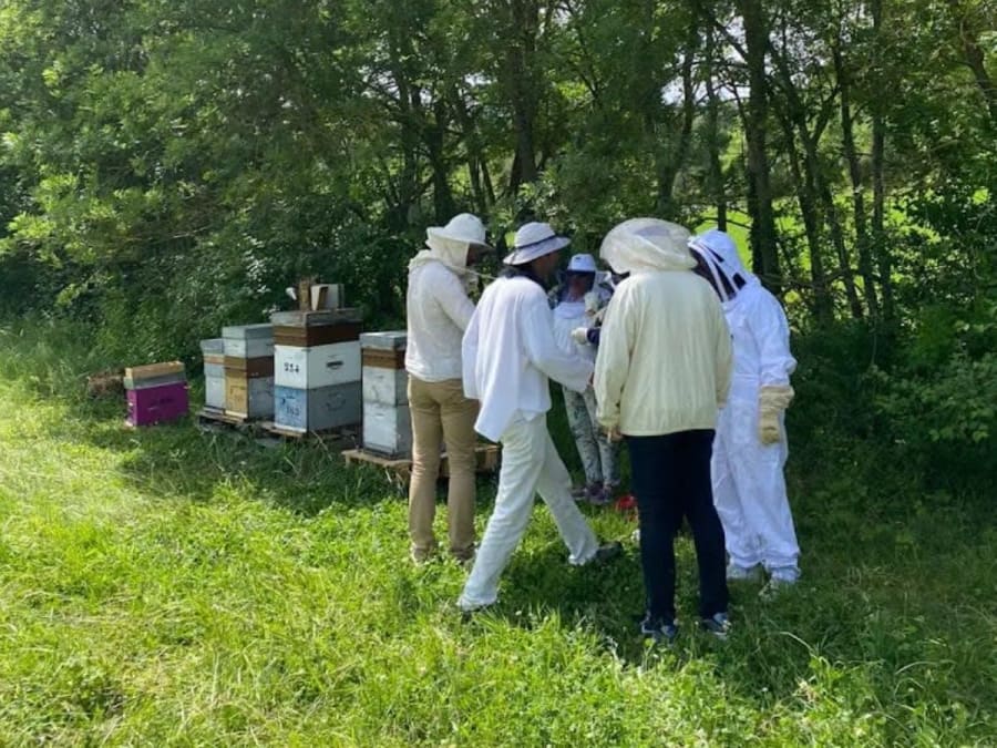 Team Building découverte de l'apiculture & dégustation de miel à Francillon (26)