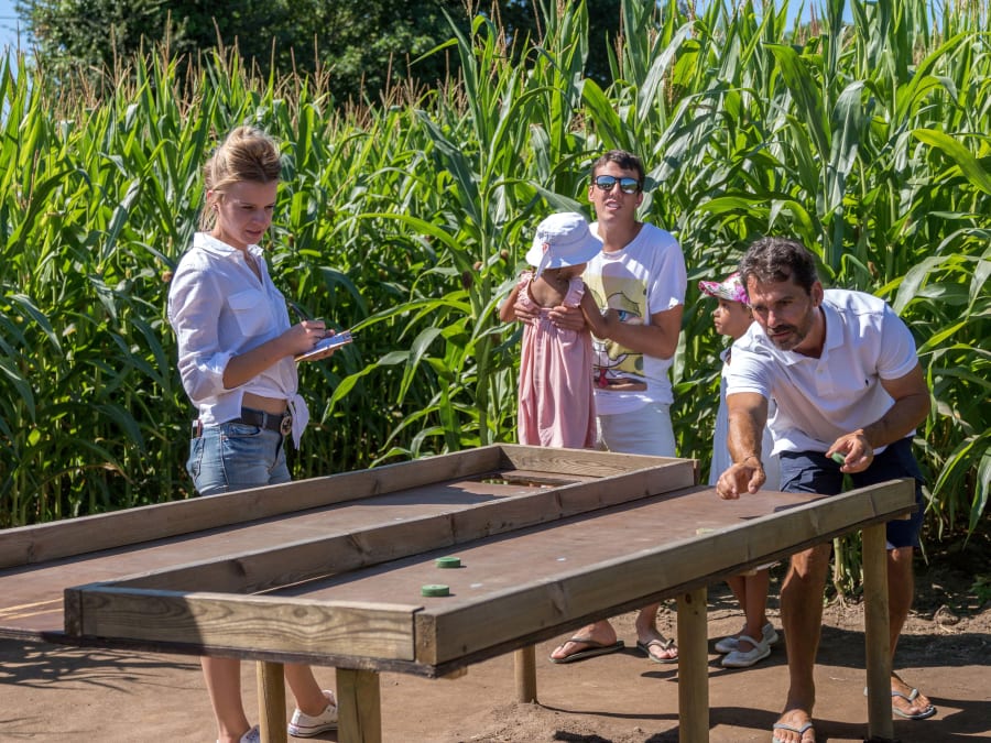 Labyrinthe géant dans un champ de maïs à Marcoussis (91)
