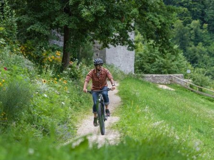 Location de VTT électrique à l'Etang de la vallée (45)