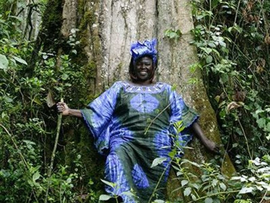 Visite guidée éco-féminisme au Jardin des Plantes à Paris