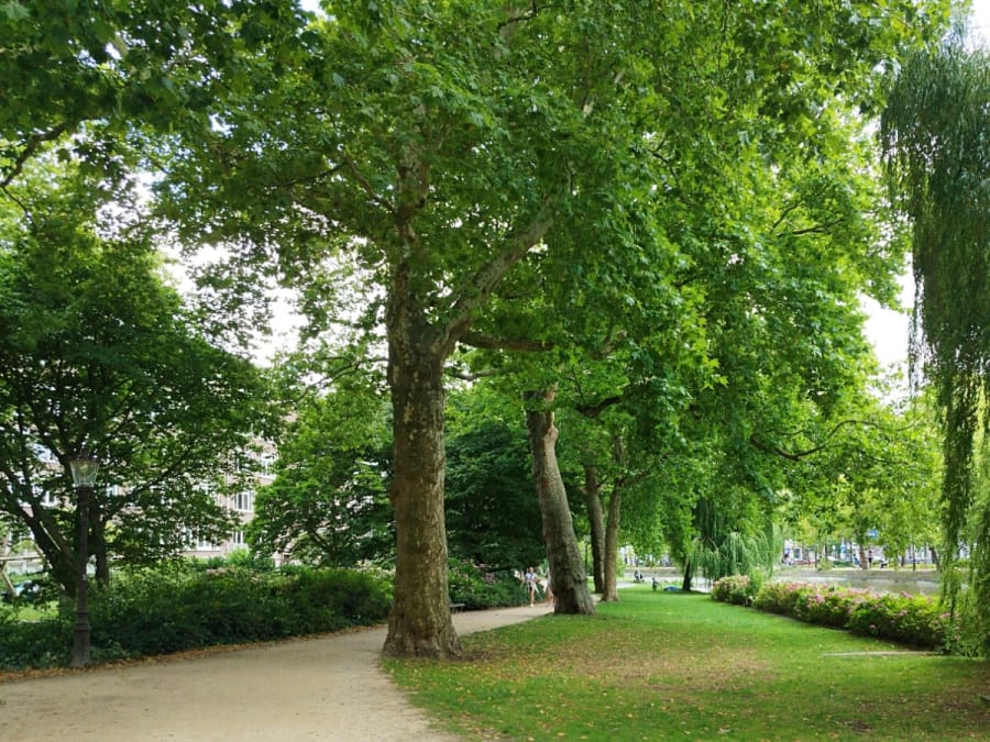 Atelier dessin & pique-nique en plein air au Parc de Bercy (75)