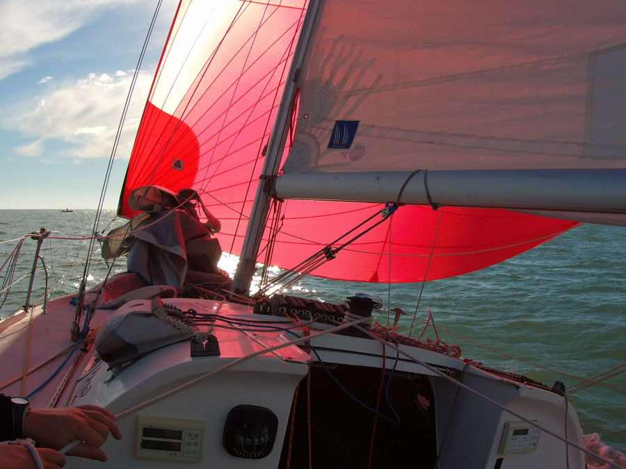 Mini Transat 6,50 m paseo en barco a La Rochelle (17)