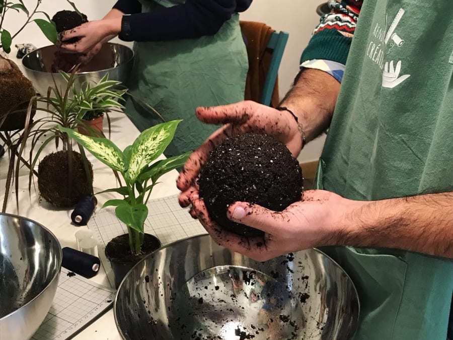 Kokedama-Workshop in Angers (49)