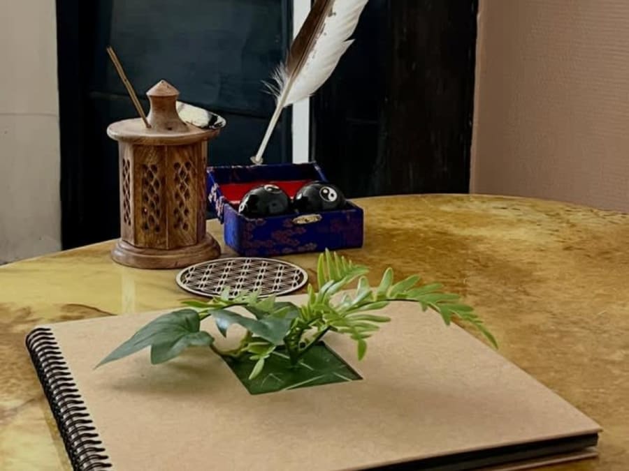 Atelier création d'un terrarium à Reims (51)
