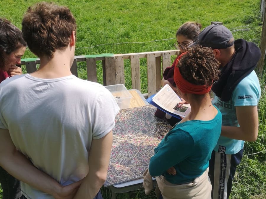 Team Building "Escape Game à la Ferme" à Chevannes (45)