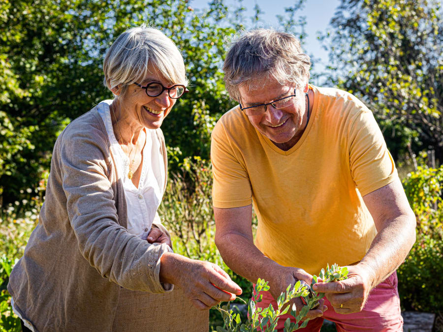 Team Building atelier découverte permaculture à Jarnac (16)