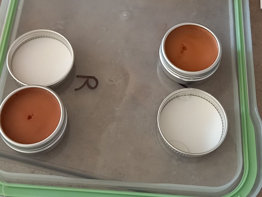 Natural cosmetics workshop in Cordelle (42)