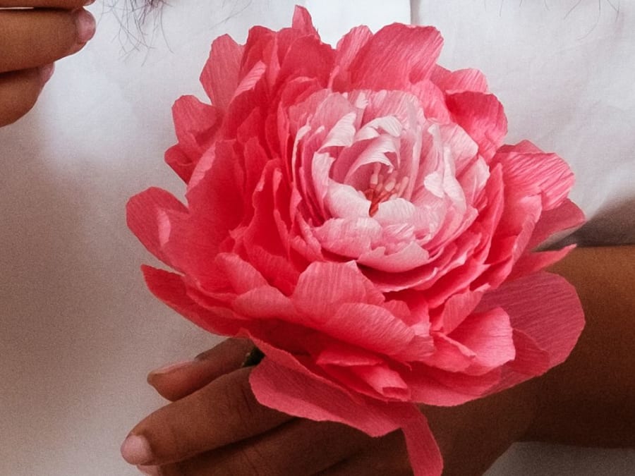 Taller de flores de papel crepé en el distrito 6 de Marsella