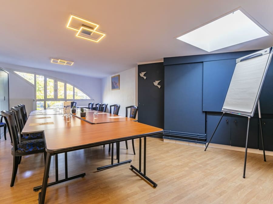 Best Western Plus, La Fayette Hôtel et Spa (88)