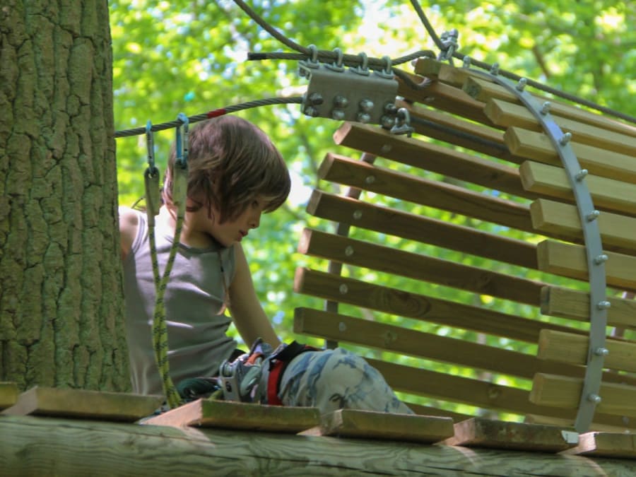 Tree climbing at Sherwood Parc in Viarmes (95)