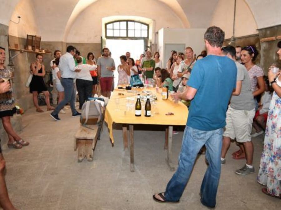 Team building visite & dégustation vins au Domaine Roustan (13) 