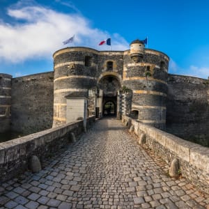 chateau d'angers