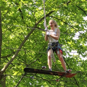 tree climbing