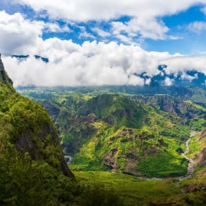 la réunion