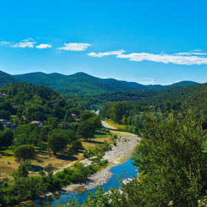 cevennes