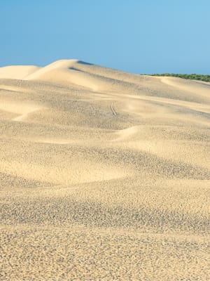 Dune du Pilat
