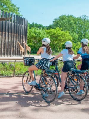 bike rental