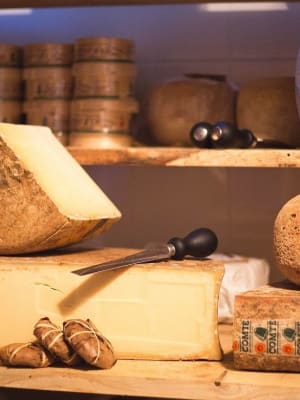 degustation fromage