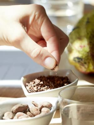 chocolat