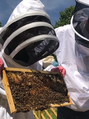 atelier apiculture paris