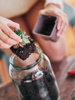 atelier terrarium