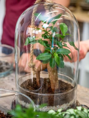atelier terrarium paris