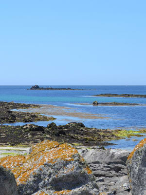 iles glénan