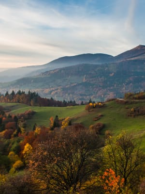 vosges