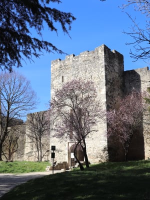 Montélimar