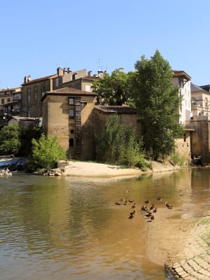 Mont-de-Marsan