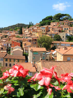 Bormes-les-Mimosas