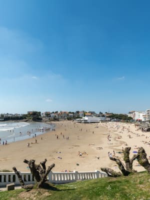Royan