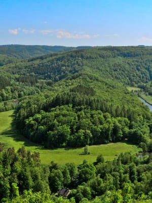 ardennes