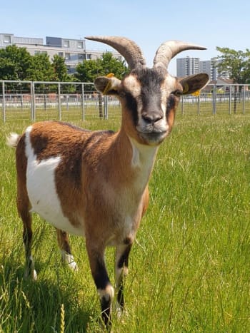 fermes pédagogiques