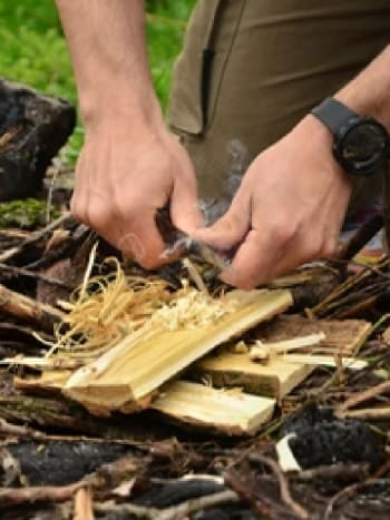 La Bergerie Nationale