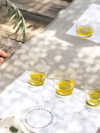 découverte de l'huile d'olive