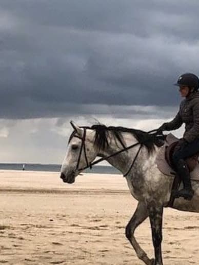 que faire en normandie