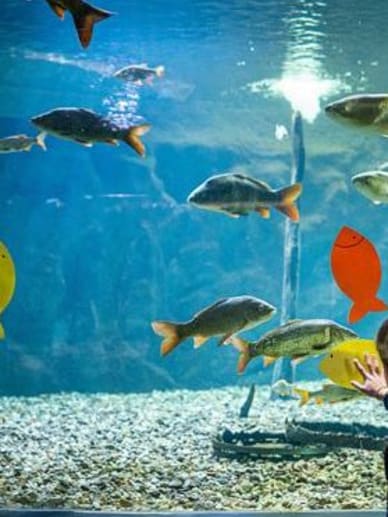 activité famille tours