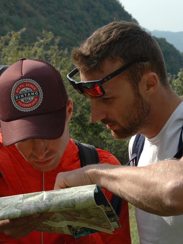 survie dans la foret de fougere