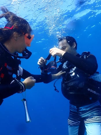 plongee en guadeloupe