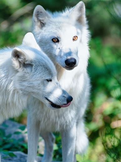 activite enfant lyon