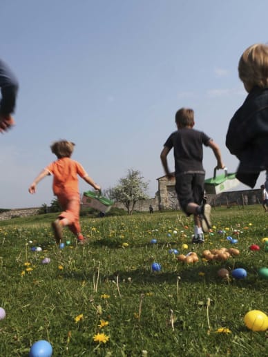 organiser une chasse aux oeufs