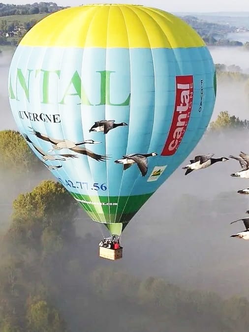 montgolfiere avec oiseaux migrateurs