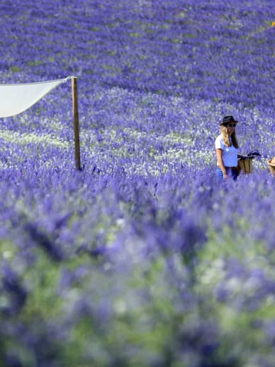 activité amis aix en provence